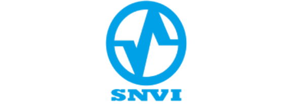 Snvi_logo